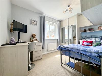 Picture 15